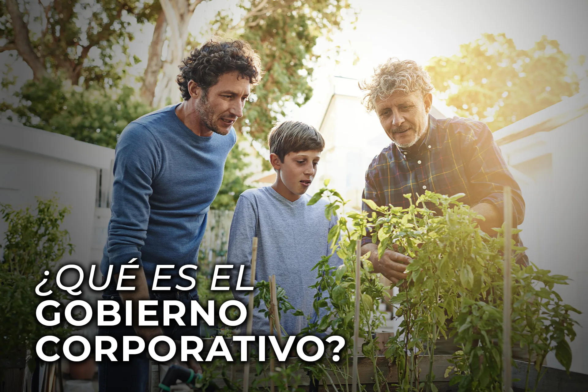 ¿QUÉ ES EL GOBIERNO CORPORATIVO?