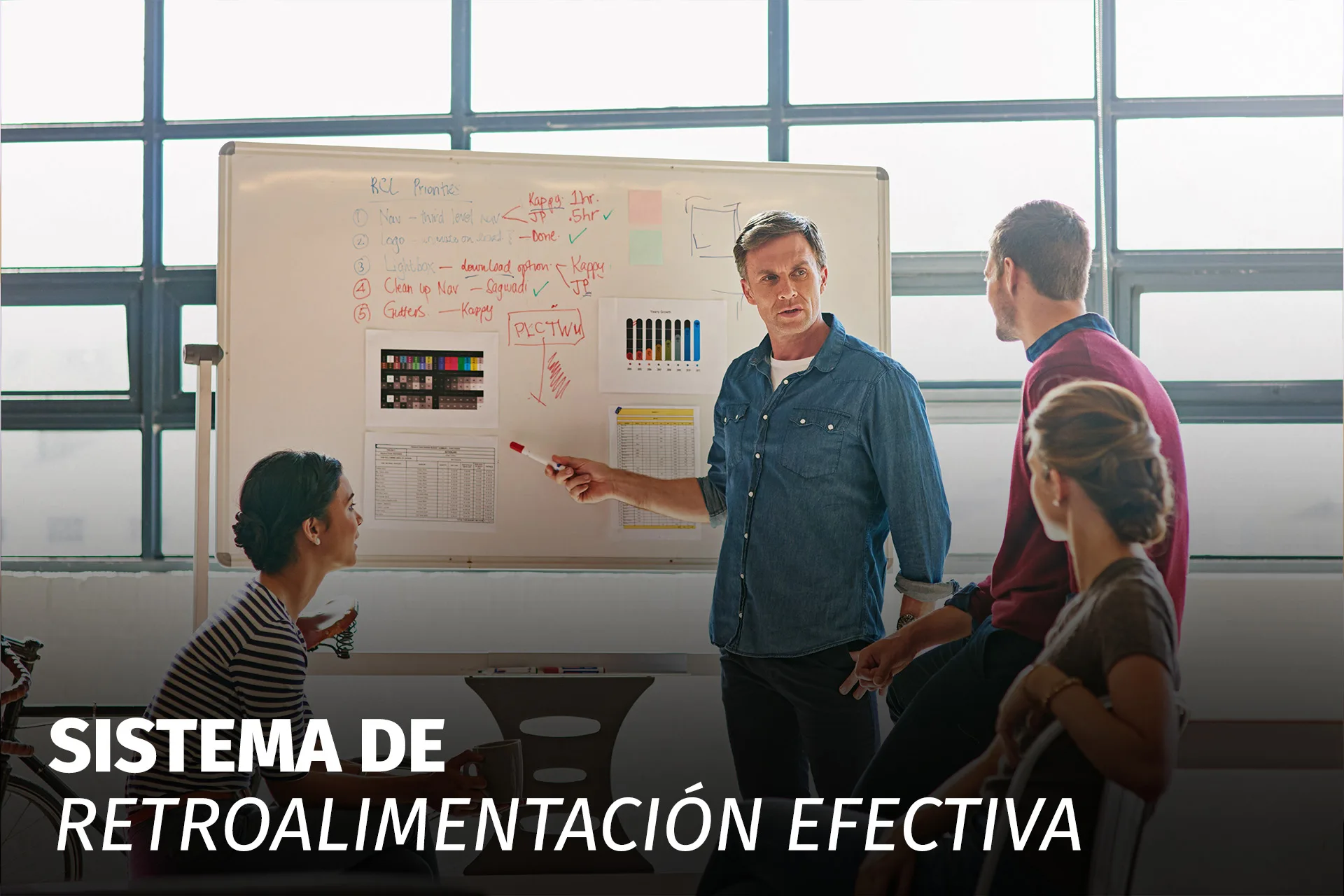 SISTEMA DE RETROALIMENTACIÓN EFECTIVA