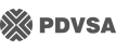 Logo de PDVSA, empresa cliente de Ignius